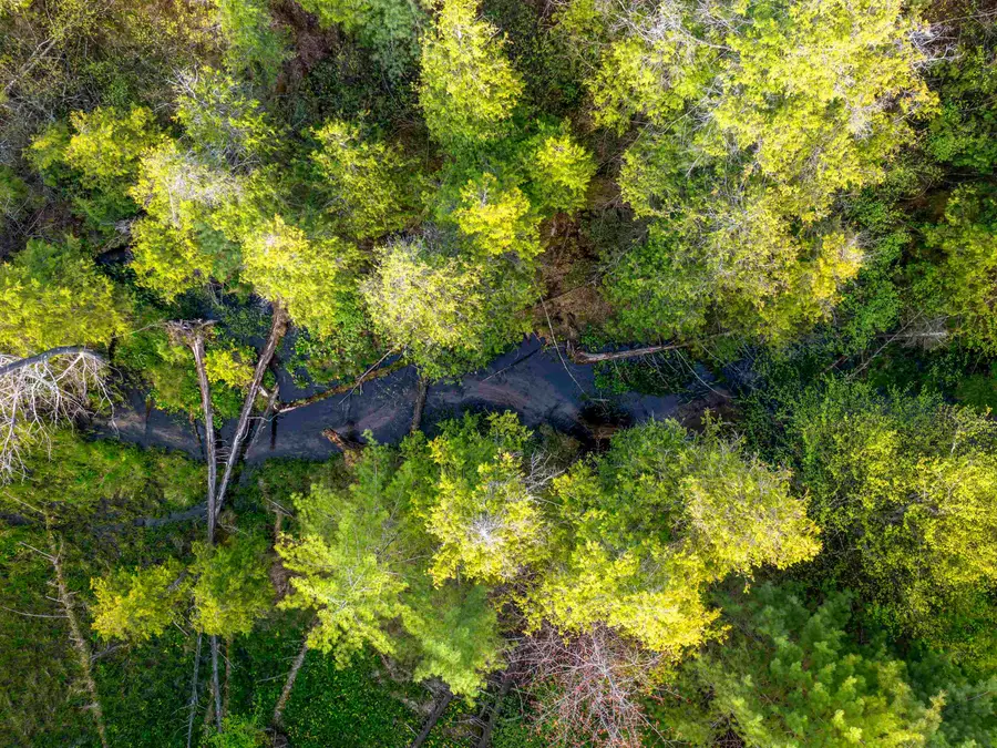 00 V/L Honor HWY, Interlochen, MI 49643 - Image #3