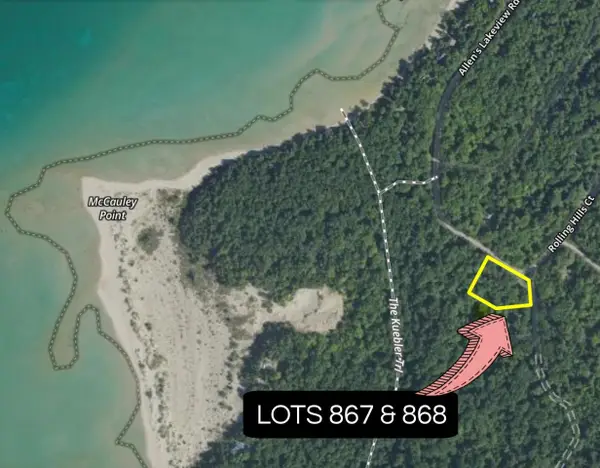 TBD Allens Lakeview, BeaverIsland, MI 49782