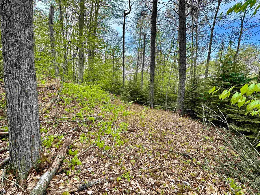 TBD Allens Lakeview, Saint James Township, MI 49782 - Image #3