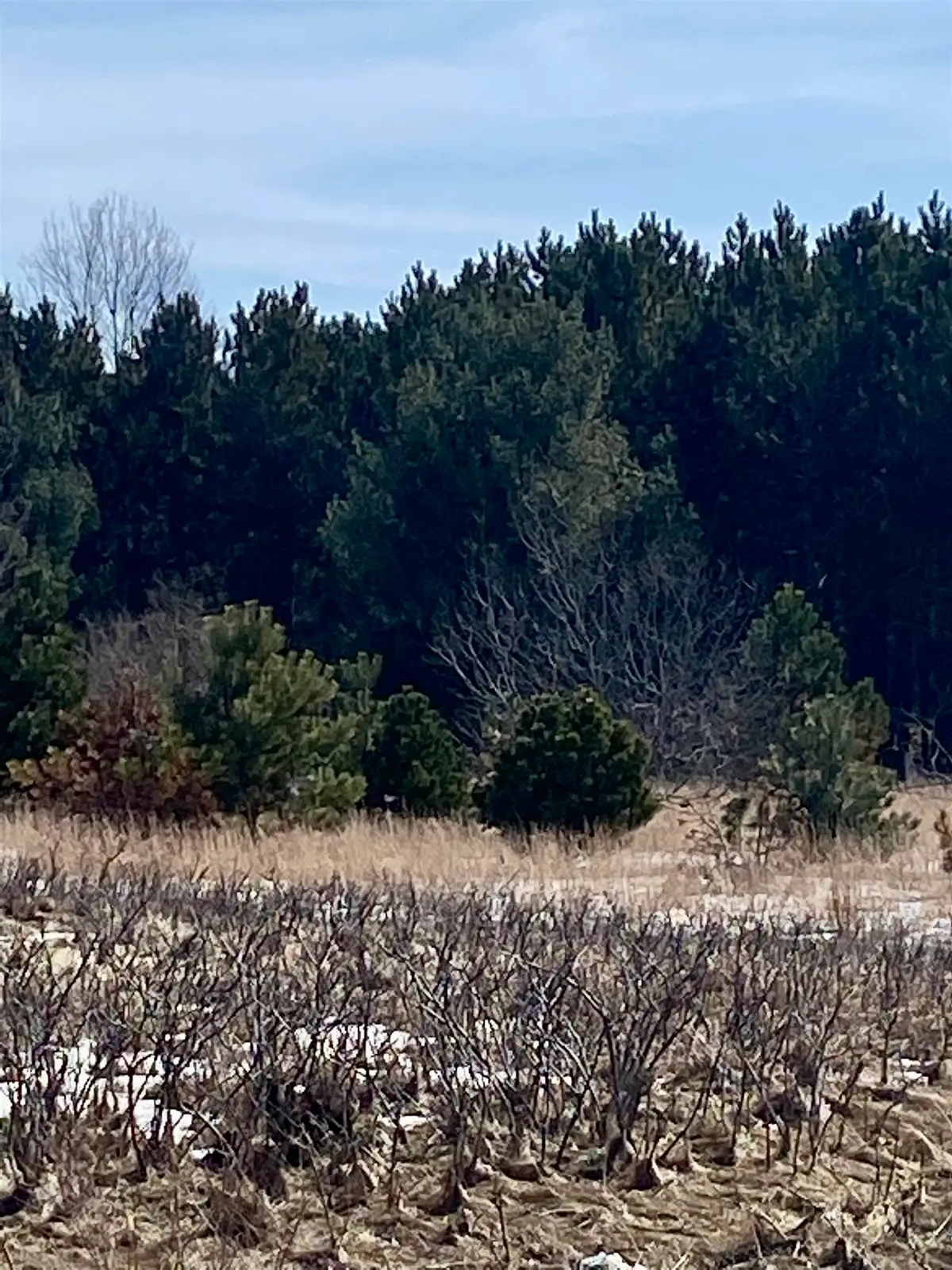 7430 Rapid City RD, Clearwater, MI 49676 - Image #1