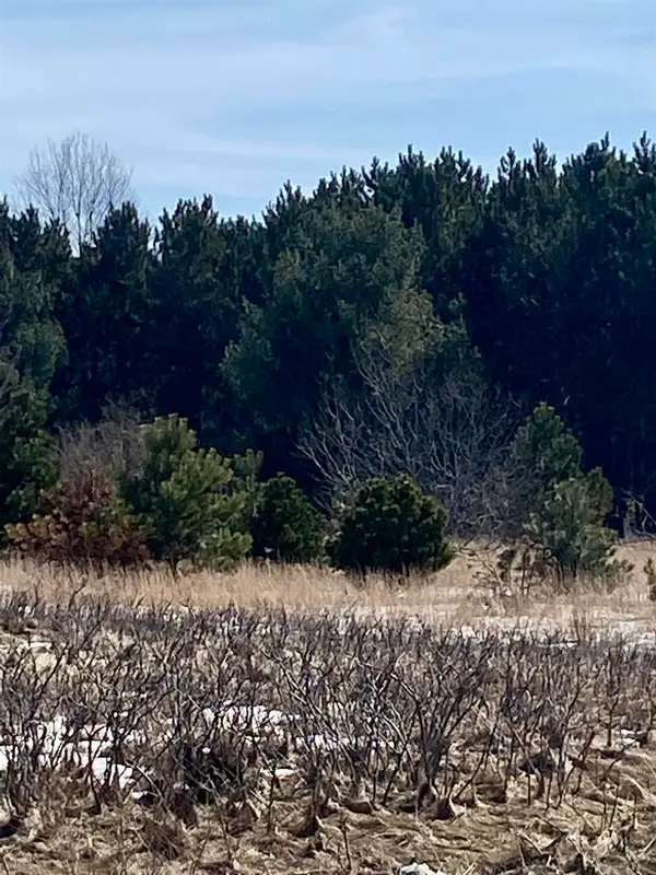 7430 Rapid City RD, RapidCity, MI 49676