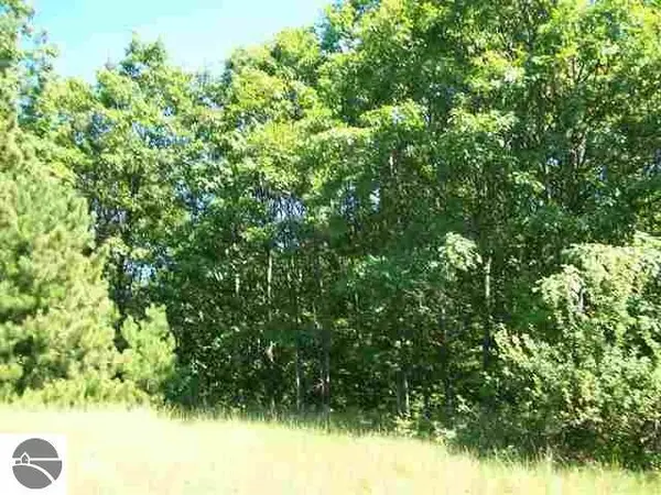 Lot 9 Torch Hills LN, RapidCity, MI 49676