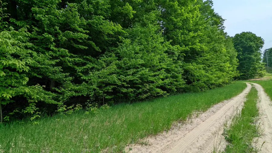 LOT 320, Bellaire, MI 49615 - Image #2