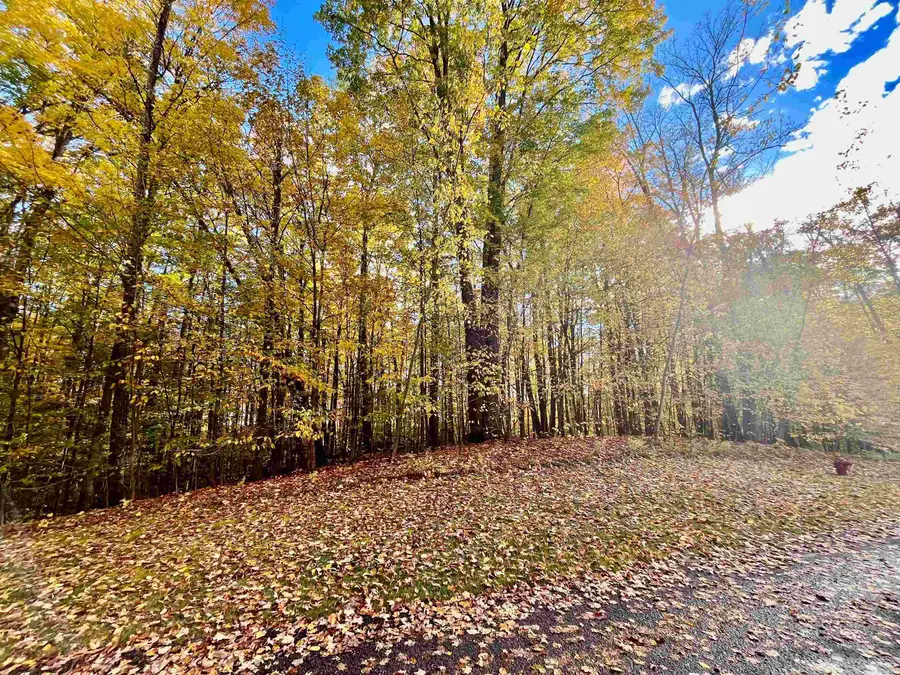 166 Forest Highlands, Bellaire, MI 49615 - Image #3