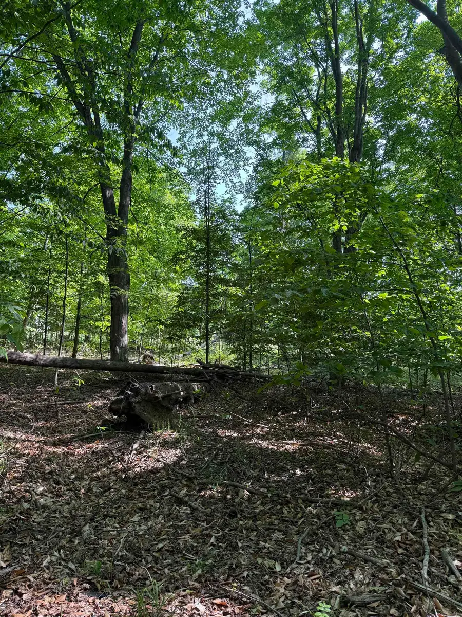 0000 Mooney, Kewadin, MI 49648 - Image #2