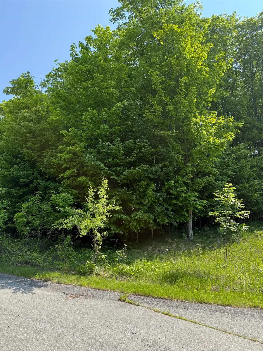 0000 Mooney, Kewadin, MI 49648 - Image #3