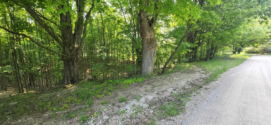 TBD Veldkamp, Central Lake, MI 49622 - Image #2