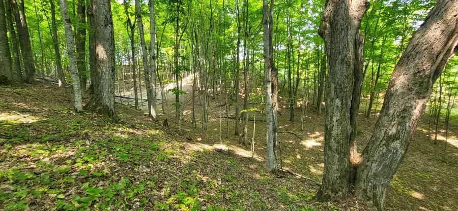 TBD Veldkamp, Central Lake, MI 49622 - Image #3