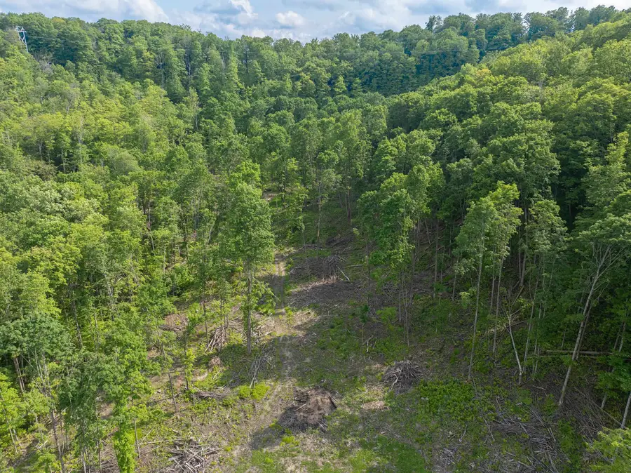 891 N Skinkle, Echo, MI 49727 - Image #3