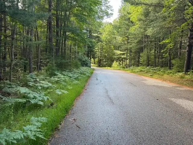 Lot 47 Bramblewood, Cadillac, MI 49601 - Image #3