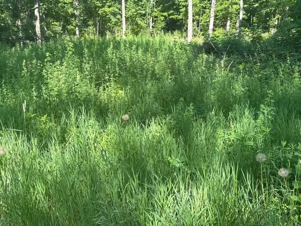 VL Forward, LakeCity, MI 49651