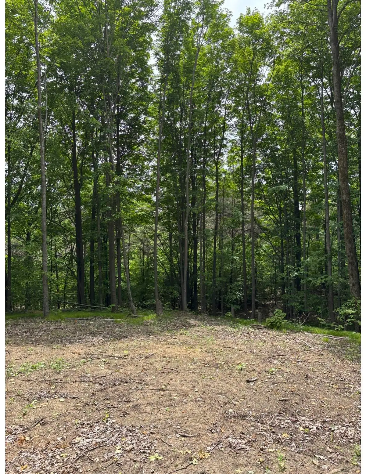 Parcel A N 45, Manton, MI 49663 - Image #1