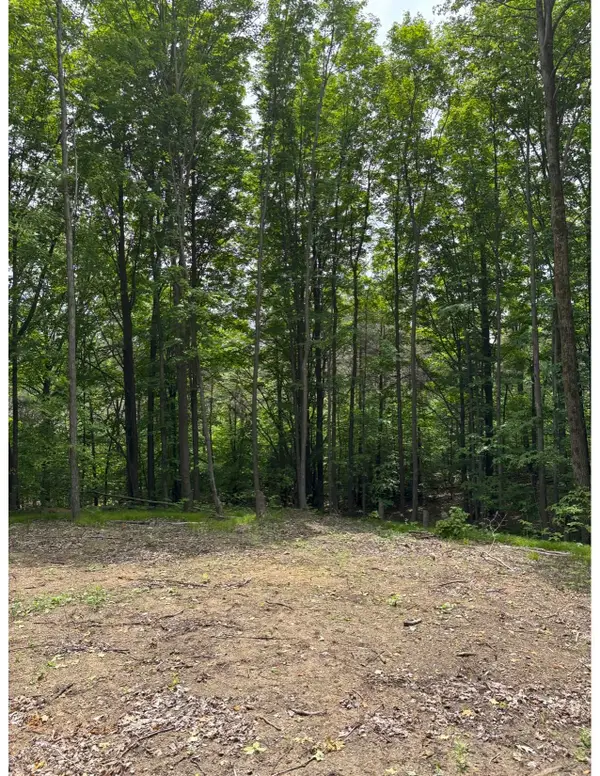 Parcel A N 45, Manton, MI 49663