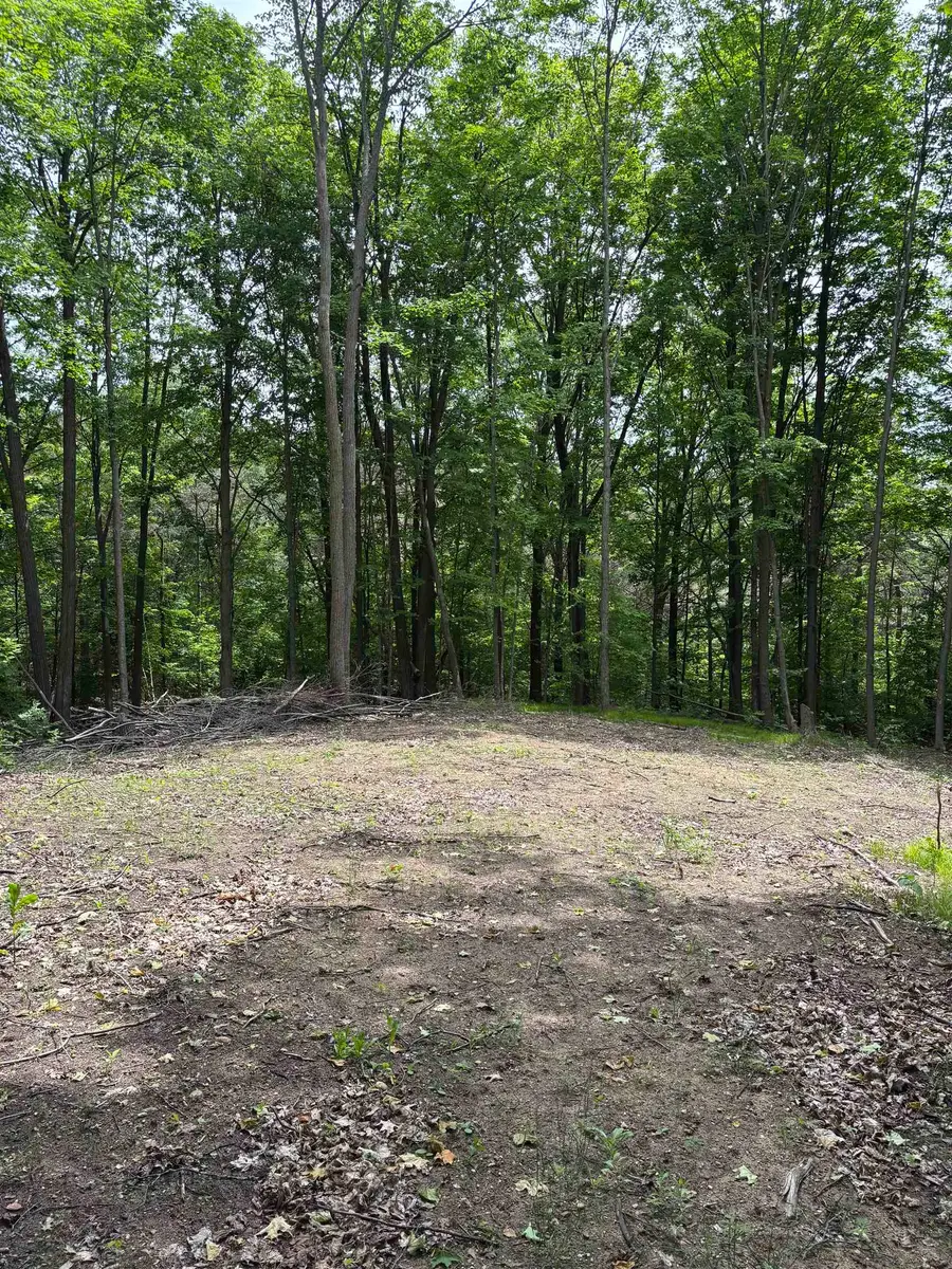 Parcel A N 45, Manton, MI 49663 - Image #2