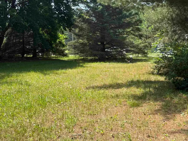 Lot 12 Pennsylvania, Cadillac, MI 49601