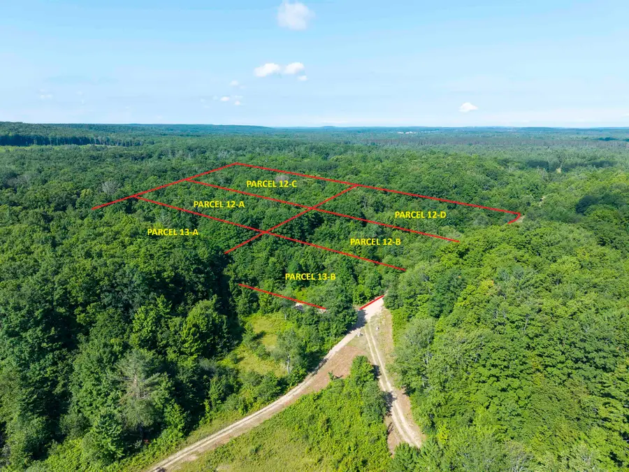 13-A Hillcrest DR, Elmira, MI 49730 - Image #3