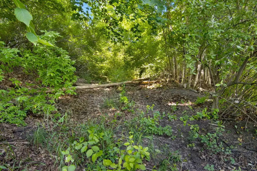 Lot 27 Bunker Hill RD, Williamsburg, MI 49690 - Image #3