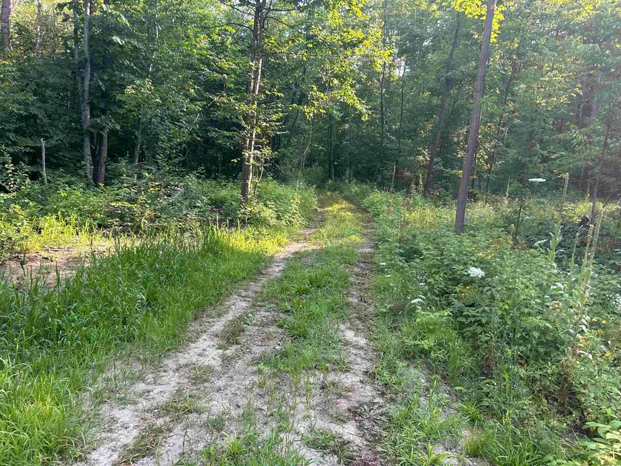 7613 NE Covert RD, Mancelona, MI 49659 - Image #2