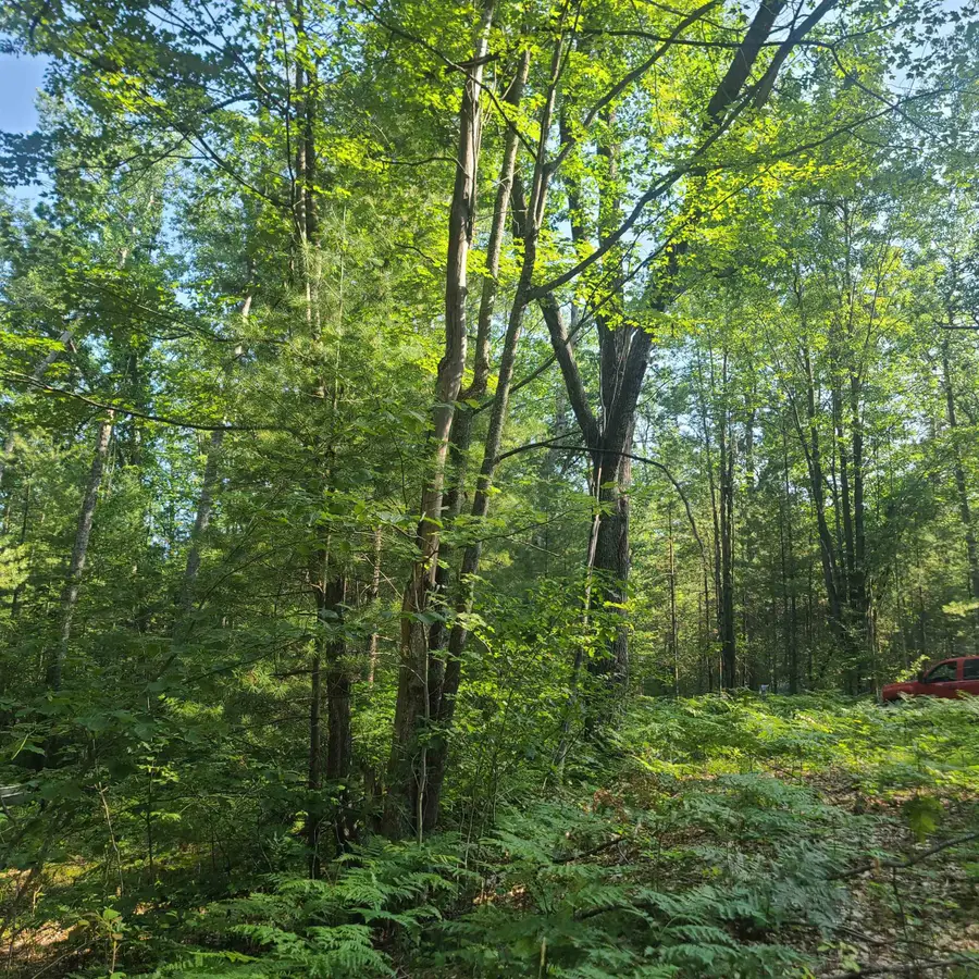 0000 NE Bailey, Kalkaska, MI 49646 - Image #2