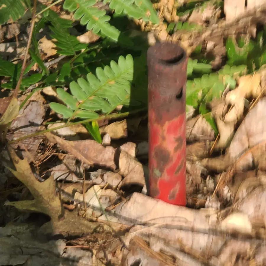 0000 NE Bailey, Kalkaska, MI 49646 - Image #3