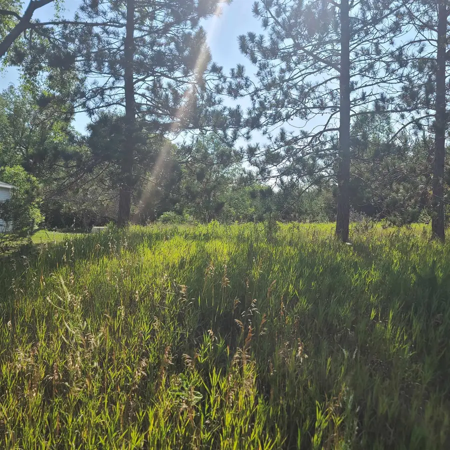 0002 M-66 SE, Kalkaska, MI 49633 - Image #2