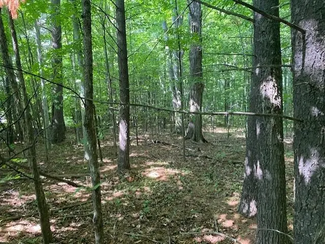 00 Birch Lake Rd. Road, Kewadin, MI 49648 - Image #2