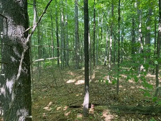 00 Birch Lake Rd. Road, Kewadin, MI 49648 - Image #3