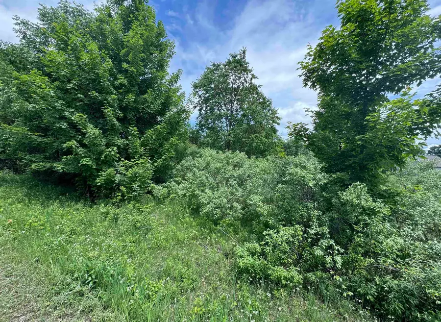 Lots 33 S Ski View, Cedar, MI 49621 - Image #3