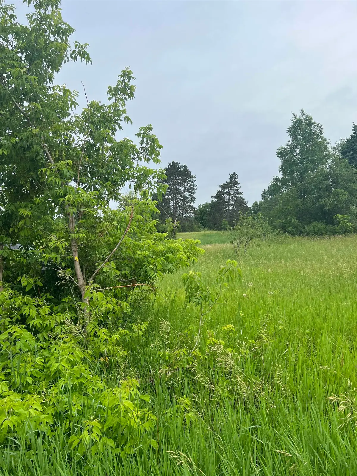 15040 North, Thompsonville, MI 49683 - Image #1