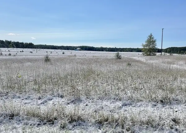 I Bowerman, Kingsley, MI 49649