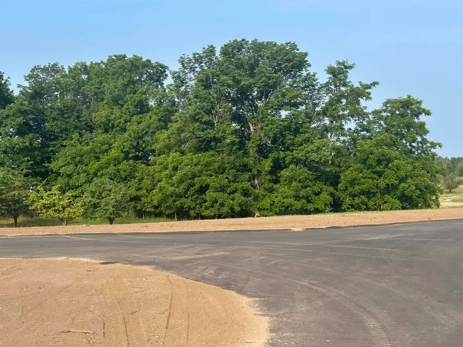 Parcel 2 Karnes, Empire Township, MI 49636 - Image #3