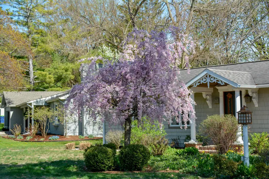 623 Edmar, Traverse City, MI 49686 - Image #3