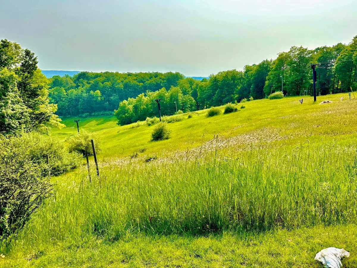 5828 Shanty Creek RD, Bellaire, MI 49615 - Image #1