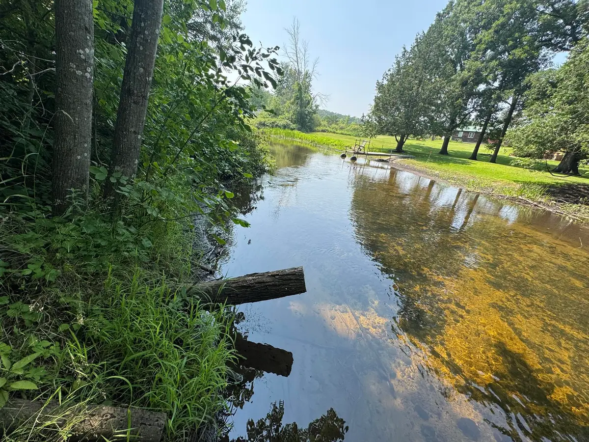 VL Elm, Merritt, MI 49667 - Image #1