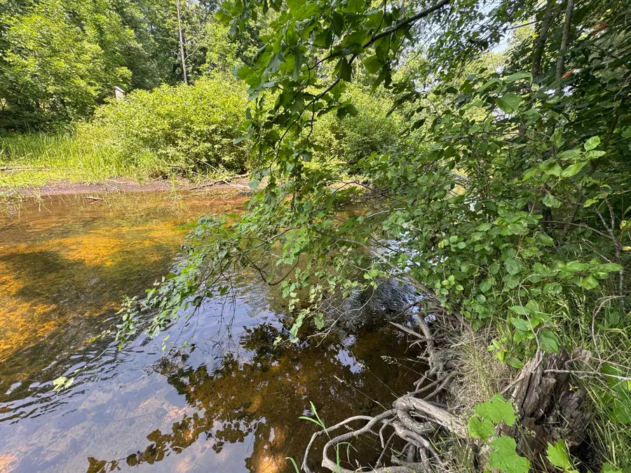 VL Elm, Merritt, MI 49667 - Image #3