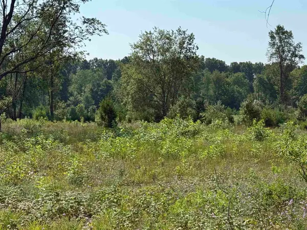 Parcel A8 S Bright, MapleCity, MI 49664