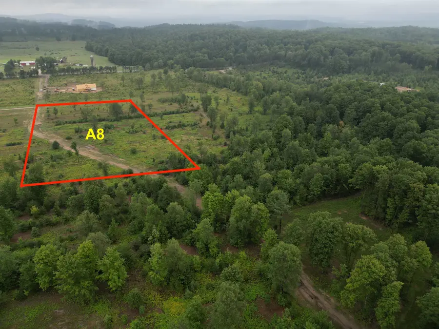 Parcel A8 S Bright RD, Kasson, MI 49664 - Image #2