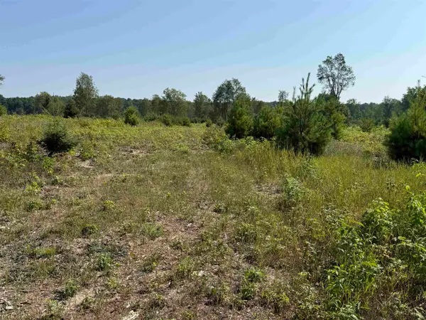 Parcel A7 S Bright, MapleCity, MI 49664