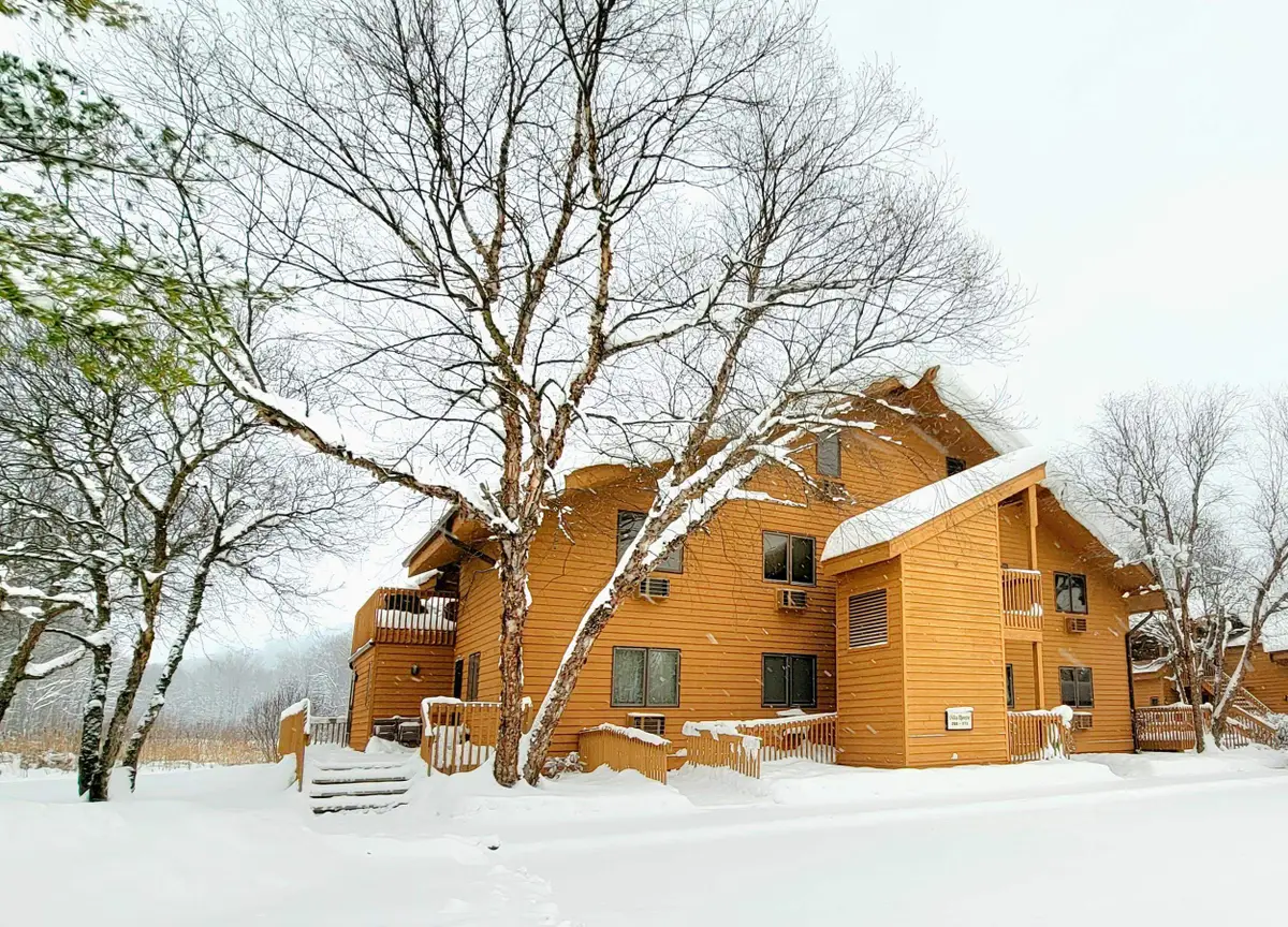 6658 Schuss Mountain LN, Mancelona, MI 49659 - Image #1