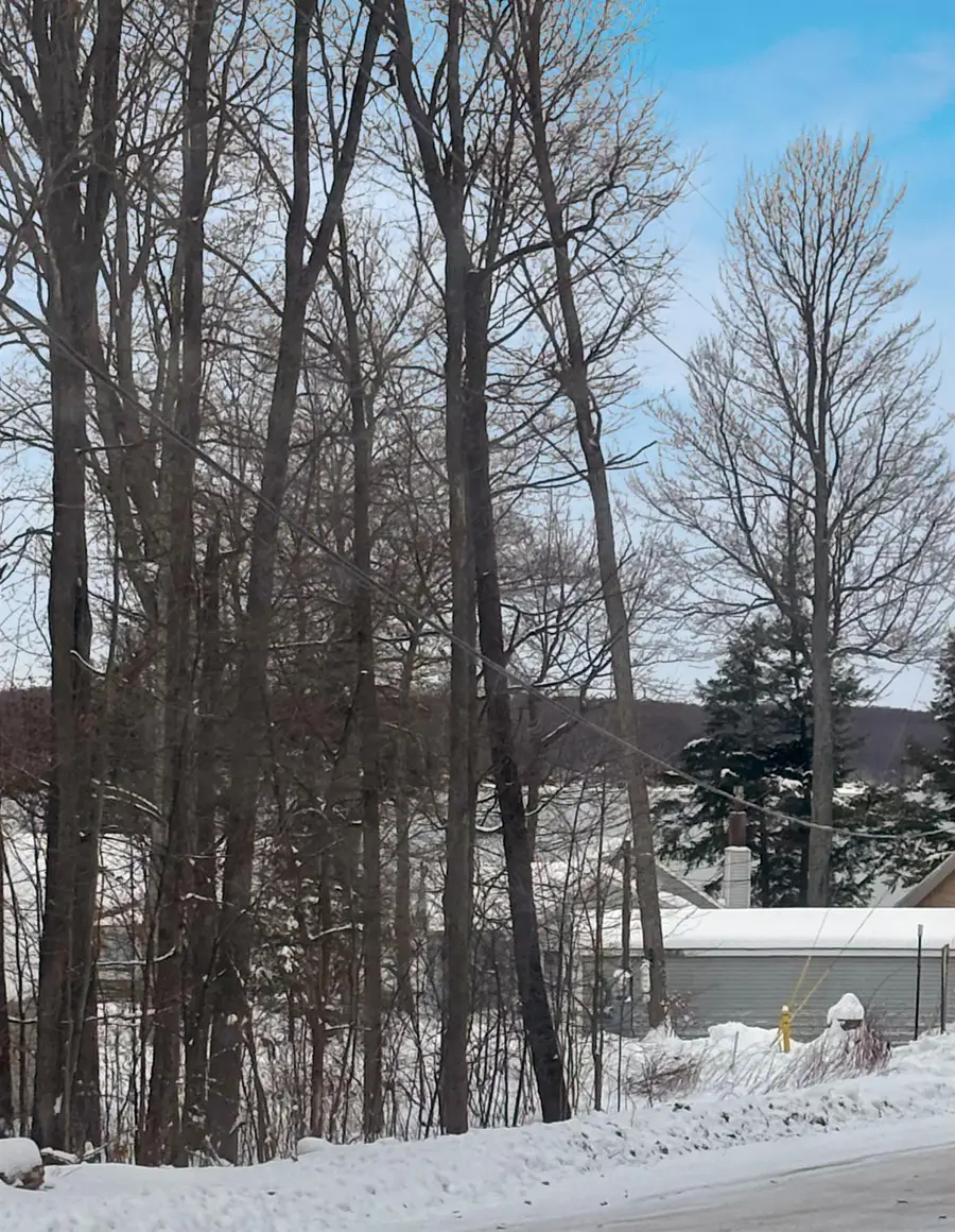 Lot 7 Manistee Ridge Drive NE, Kalkaska, MI 49646 - Image #3