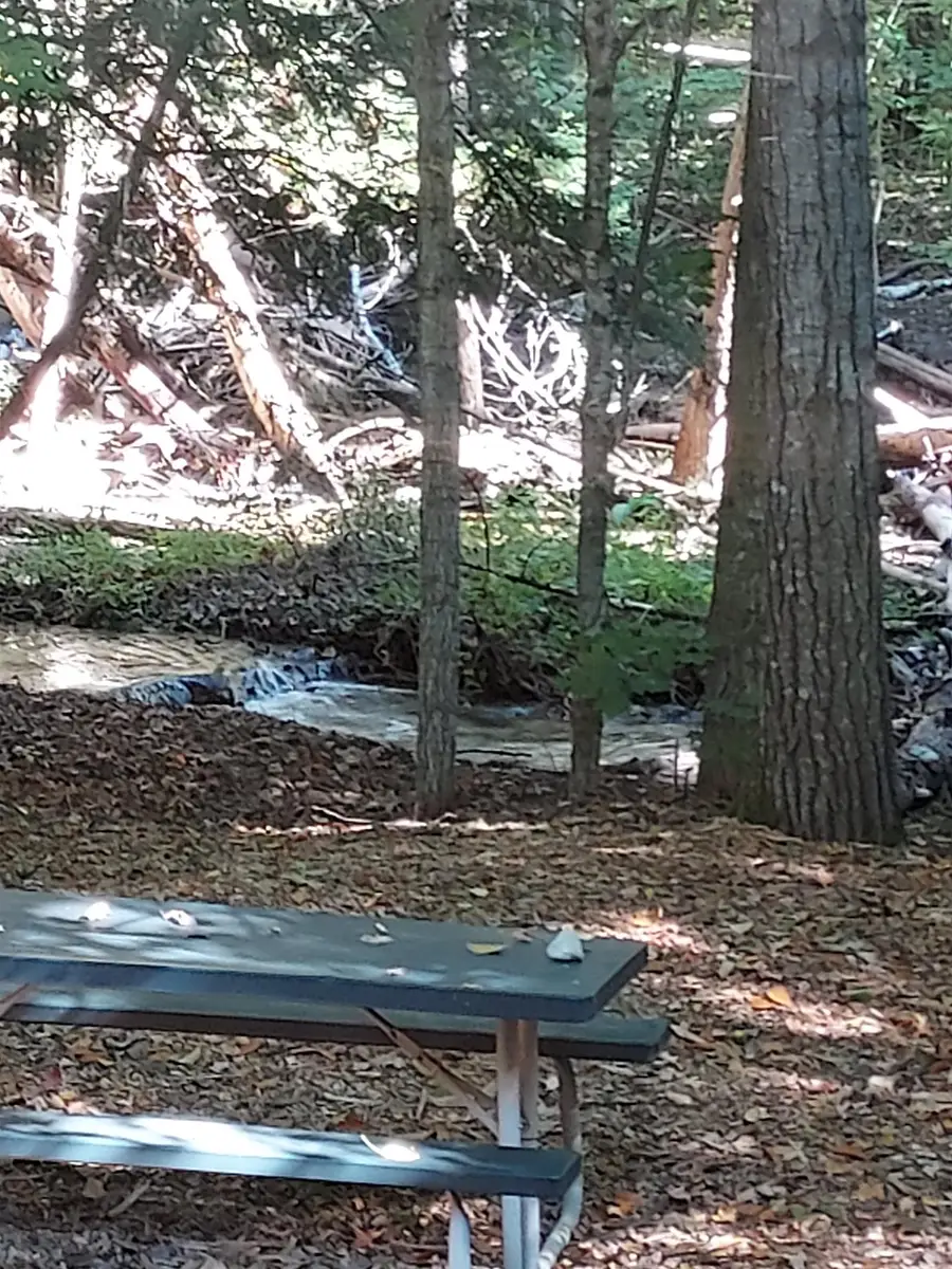 6493 Deer, Bellaire, MI 49615 - Image #3