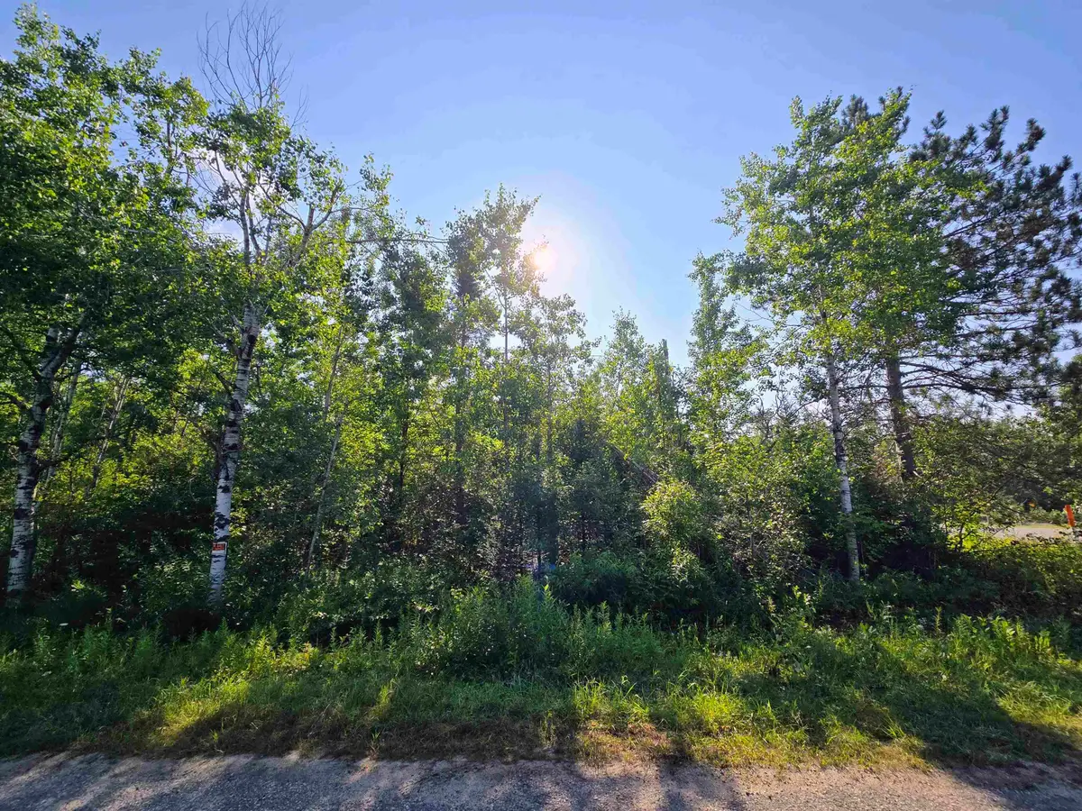 364 Pencil Lake RD, Elmira, MI 49730 - Image #1