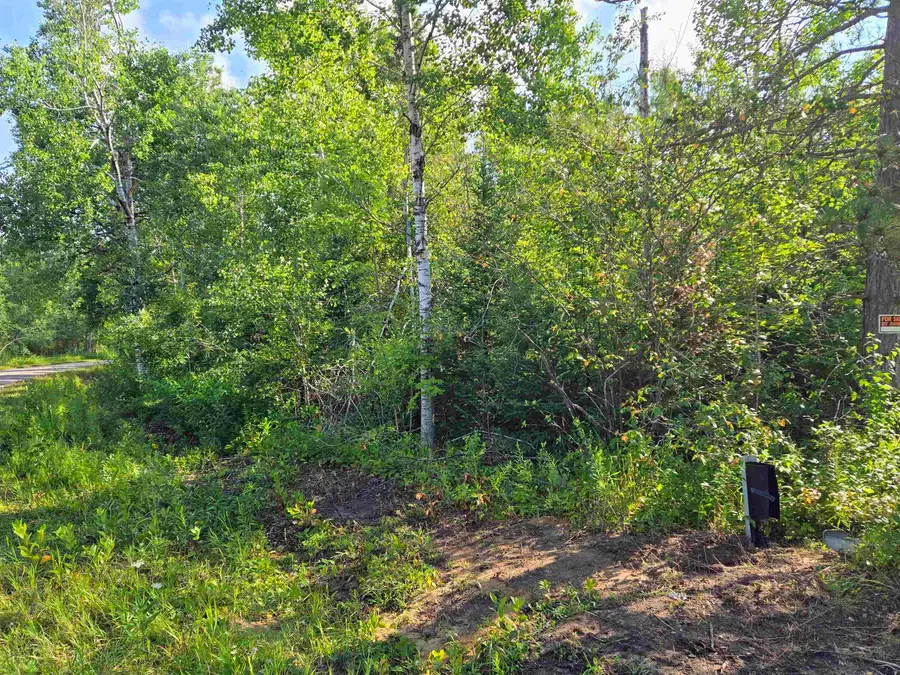 364 Pencil Lake RD, Elmira, MI 49730 - Image #3