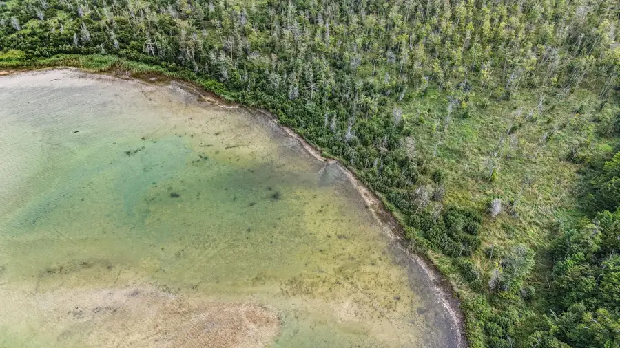 Parcel A Cooper RD, Honor, MI 49640 - Image #3