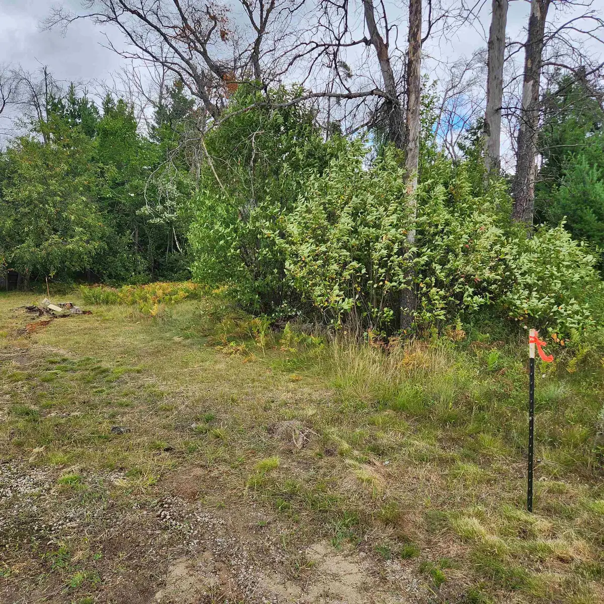 6324 W Pine Point, Grayling, MI 49738 - Image #1