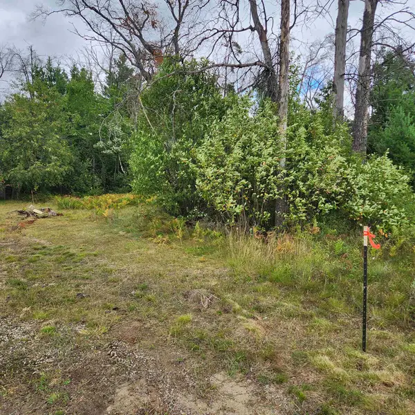 6324 W Pine Point, Grayling, MI 49738