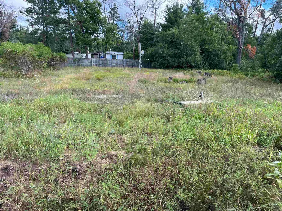 6324 W Pine Point, Grayling, MI 49738 - Image #3