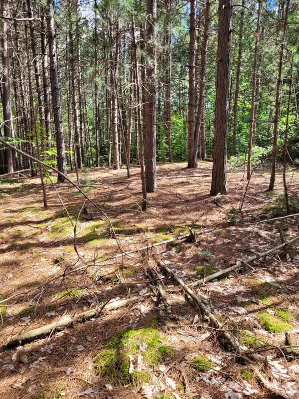 00 Lakola, Leroy, MI 49655