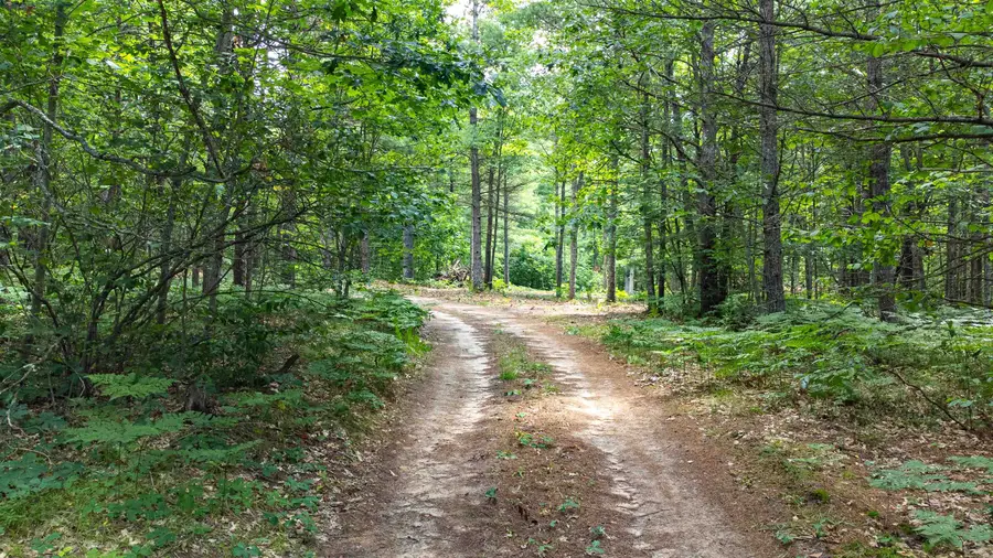 Parcel F Vans, Fife Lake, MI 49633 - Image #2