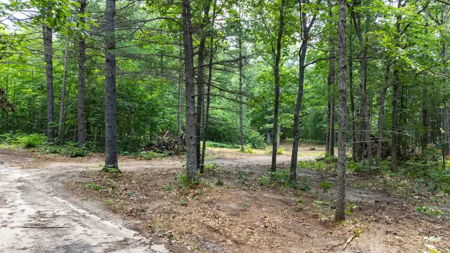 Parcel F Vans, Fife Lake, MI 49633 - Image #3